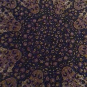 Meet your Posher, Jude